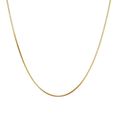 Simple American fine grain snake bone chain niche Joker titanium steel sweater chain women's high-end long necklace wholesale