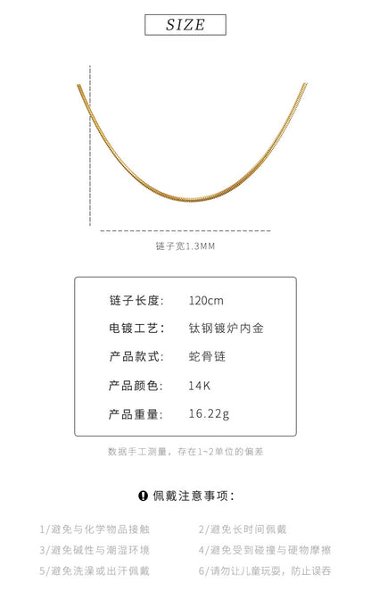 Simple American fine grain snake bone chain niche Joker titanium steel sweater chain women's high-end long necklace wholesale
