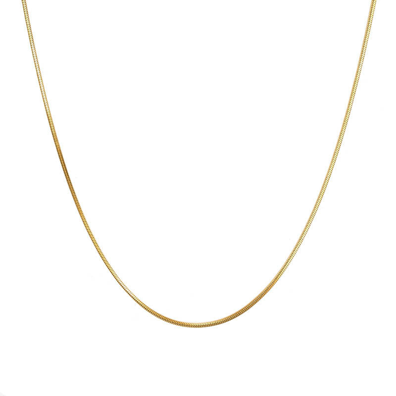Simple American fine grain snake bone chain niche Joker titanium steel sweater chain women's high-end long necklace wholesale