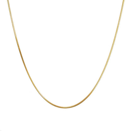 Simple American fine grain snake bone chain niche Joker titanium steel sweater chain women's high-end long necklace wholesale
