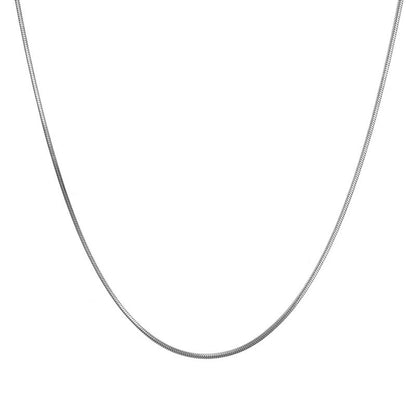 Simple American fine grain snake bone chain niche Joker titanium steel sweater chain women's high-end long necklace wholesale